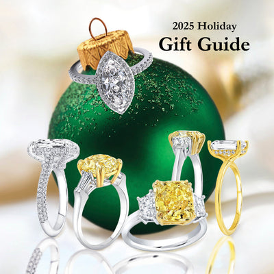 2025 Holiday Gift Guide…